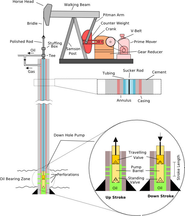 Pumpjack diagram showing the polished rod at the top of the sucker rod string